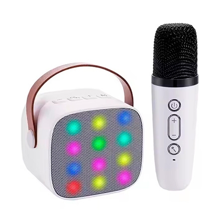 Новогодний подарок Колонка - Караоке
